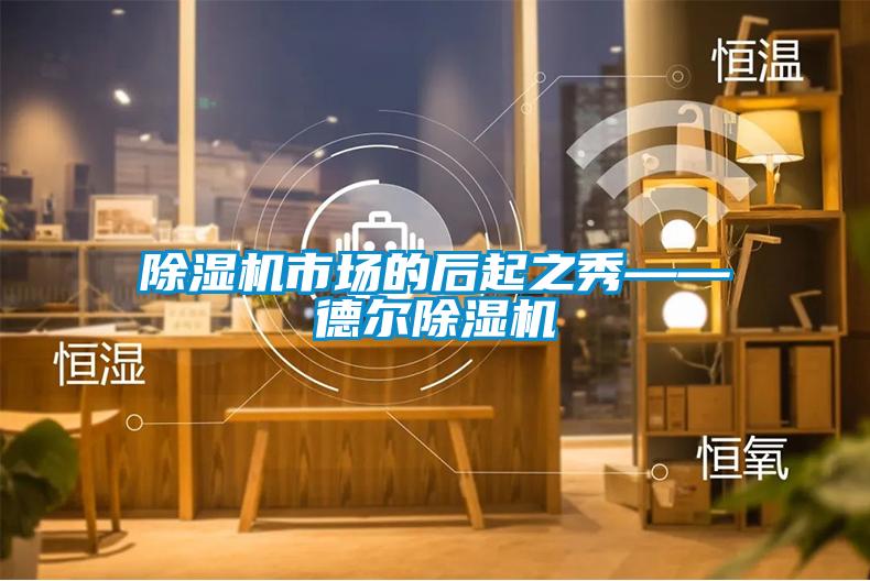 除濕機市場(chǎng)的后起之秀——德?tīng)柍凉駲C