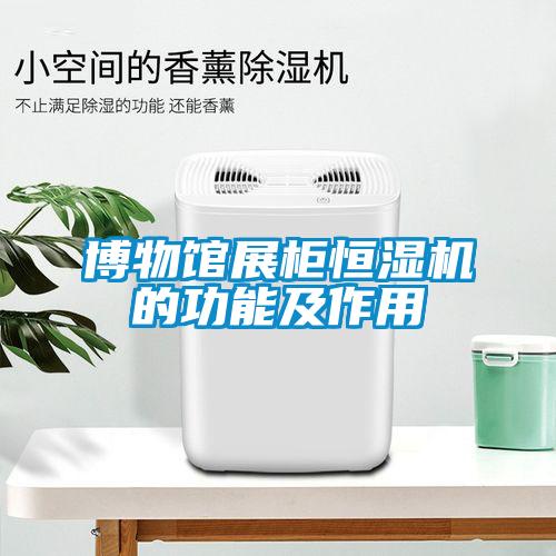 博物館展柜恒濕機的功能及作用