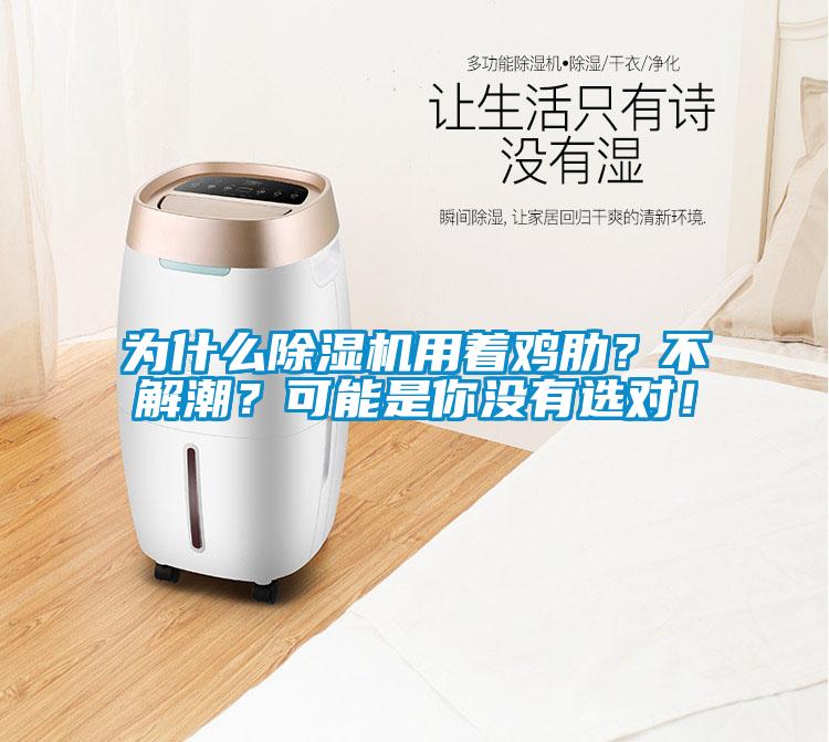 為什么除濕機用著(zhù)雞肋？不解潮？可能是你沒(méi)有選對！