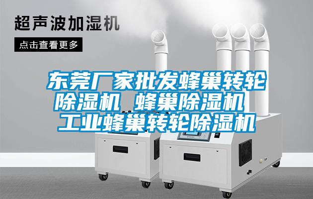 東莞廠家批發(fā)蜂巢轉輪除濕機 蜂巢除濕機 工業(yè)蜂巢轉輪除濕機
