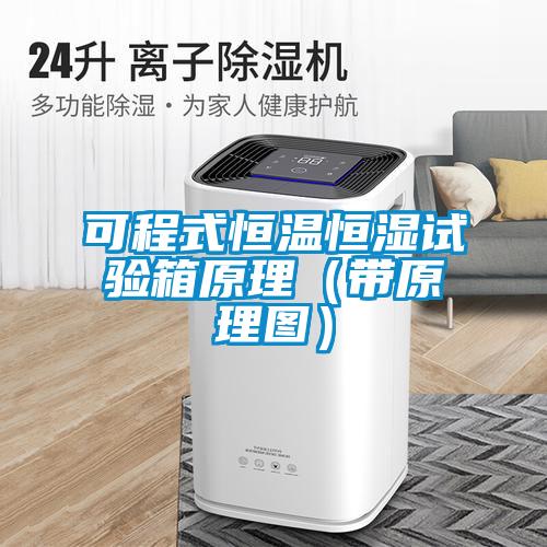 可程式恒溫恒濕試驗(yàn)箱原理（帶原理圖）