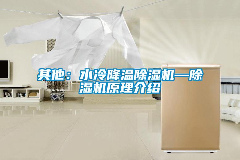 其他：水冷降溫除濕機(jī)—除濕機(jī)原理介紹