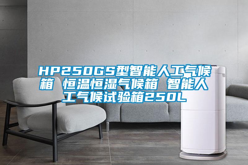 HP250GS型智能人工氣候箱 恒溫恒濕氣候箱 智能人工氣候試驗箱250L