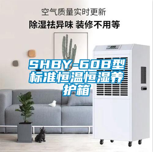 SHBY-60B型標準恒溫恒濕養(yǎng)護箱
