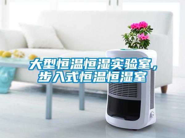 大型恒溫恒濕實(shí)驗室，步入式恒溫恒濕室