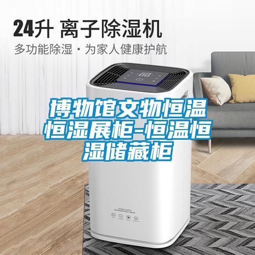 博物館文物恒溫恒濕展柜-恒溫恒濕儲藏柜