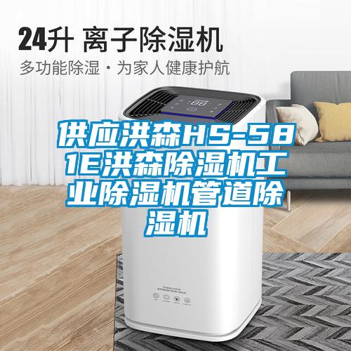 供應(yīng)洪森HS-581E洪森除濕機(jī)工業(yè)除濕機(jī)管道除濕機(jī)