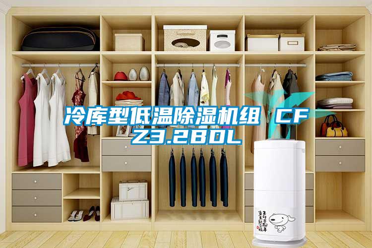 冷庫(kù)型低溫除濕機(jī)組 CFZ3.2BDL