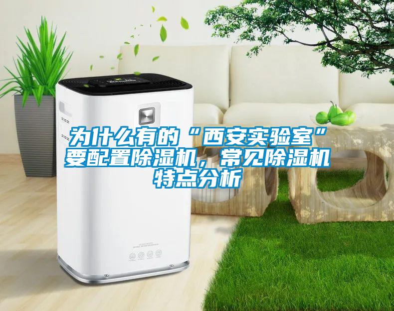 為什么有的“西安實(shí)驗室”要配置除濕機，常見(jiàn)除濕機特點(diǎn)分析