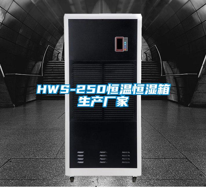 HWS-250恒溫恒濕箱生產(chǎn)廠(chǎng)家