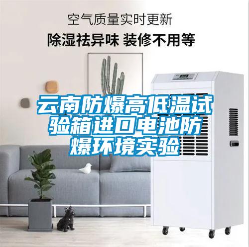 云南防爆高低溫試驗箱進(jìn)口電池防爆環(huán)境實(shí)驗