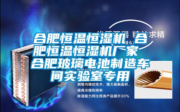 合肥恒溫恒濕機 合肥恒溫恒濕機廠(chǎng)家 合肥玻璃電池制造車(chē)間實(shí)驗室專(zhuān)用