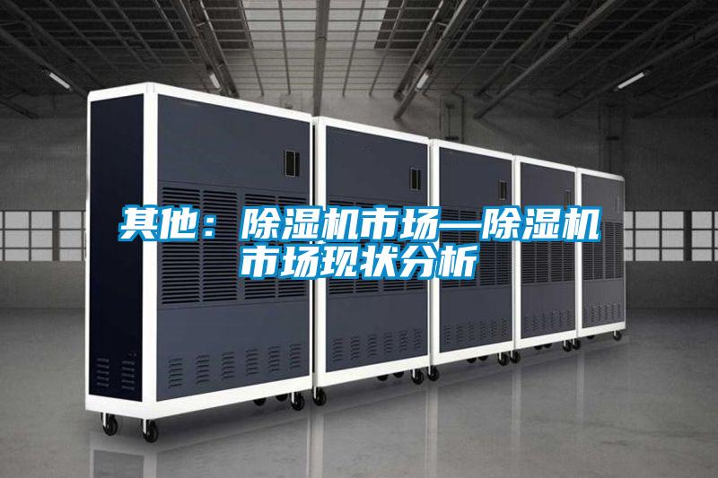 其他：除濕機(jī)市場—除濕機(jī)市場現(xiàn)狀分析
