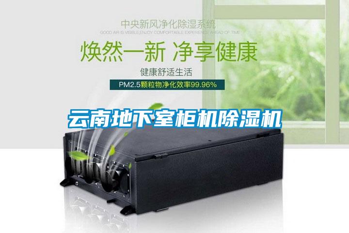 云南地下室柜機除濕機