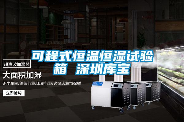 可程式恒溫恒濕試驗(yàn)箱 深圳庫(kù)寶