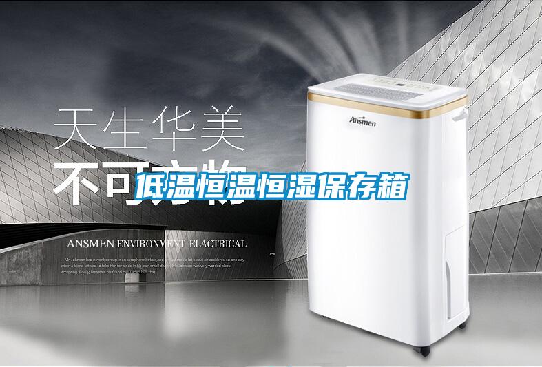 低溫恒溫恒濕保存箱