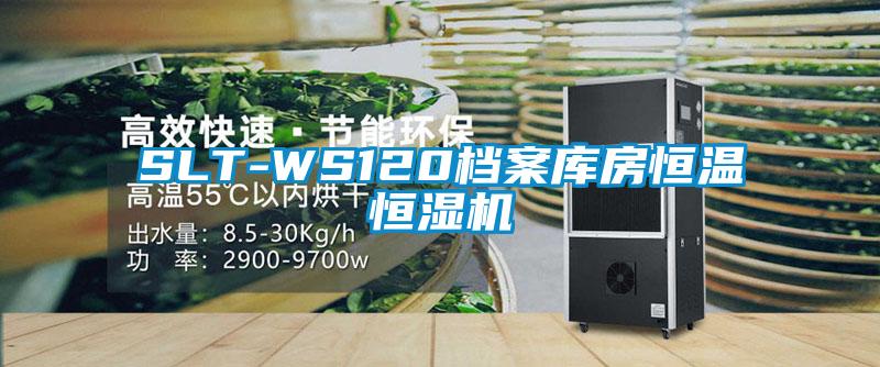 SLT-WS120檔案庫房恒溫恒濕機(jī)