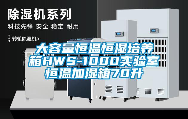 大容量恒溫恒濕培養箱HWS-1000實(shí)驗室恒溫加濕箱70升