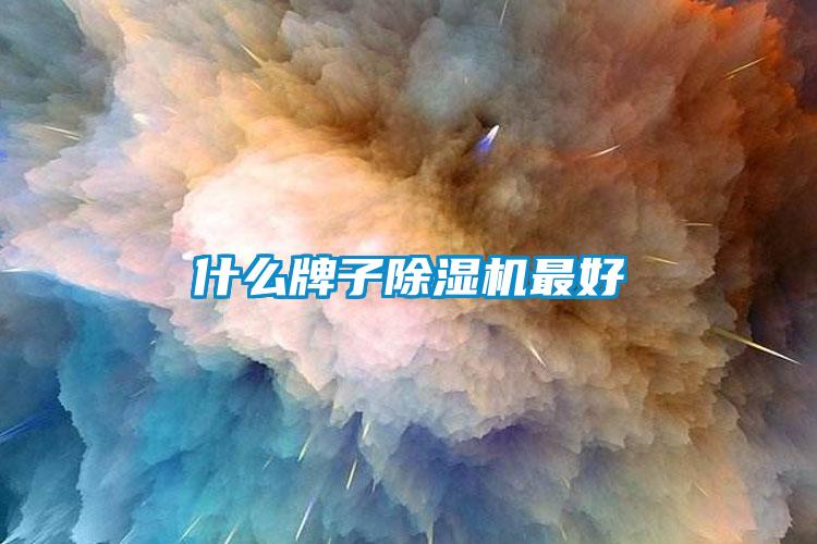 什么牌子除濕機最好