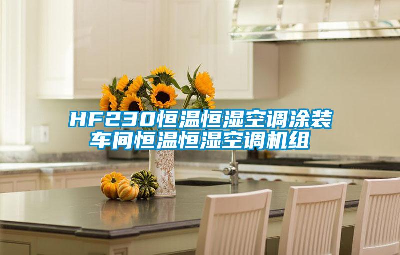 HF230恒溫恒濕空調涂裝車(chē)間恒溫恒濕空調機組