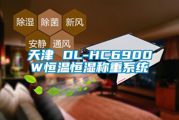 天津 DL-HC6900W恒溫恒濕稱重系統(tǒng)