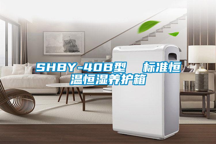 SHBY-40B型  標準恒溫恒濕養(yǎng)護箱
