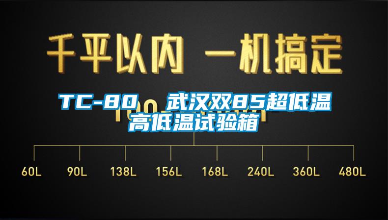 TC-80  武漢雙85超低溫高低溫試驗(yàn)箱