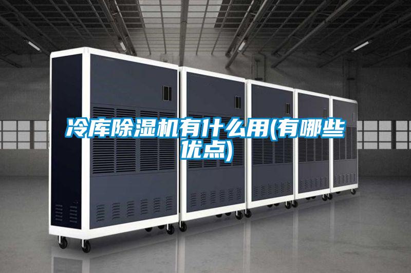 冷庫除濕機有什么用(有哪些優(yōu)點)