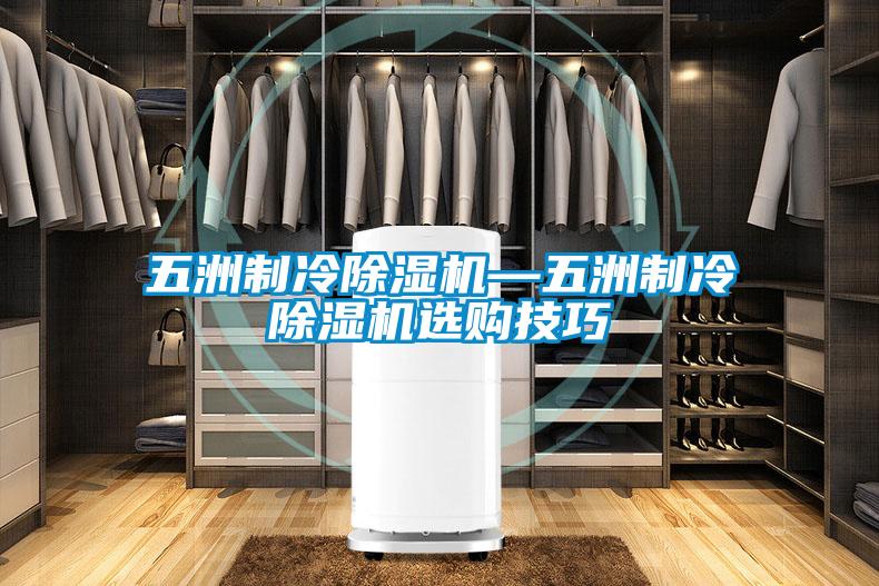 五洲制冷除濕機(jī)—五洲制冷除濕機(jī)選購(gòu)技巧