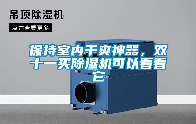 保持室內干爽神器，雙十一買(mǎi)除濕機可以看看它
