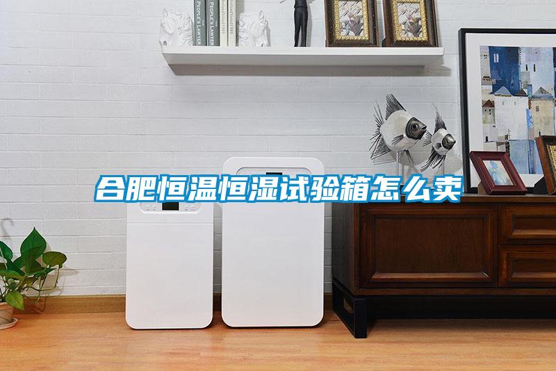 合肥恒溫恒濕試驗箱怎么賣(mài)