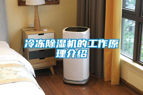 冷凍除濕機(jī)的工作原理介紹