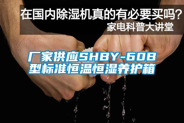 廠家供應(yīng)SHBY-60B型標(biāo)準(zhǔn)恒溫恒濕養(yǎng)護箱
