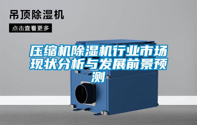 壓縮機(jī)除濕機(jī)行業(yè)市場現(xiàn)狀分析與發(fā)展前景預(yù)測