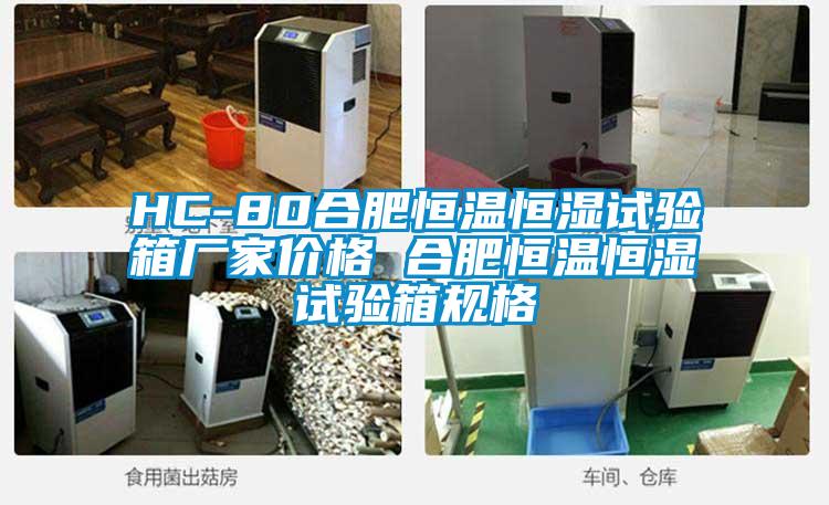 HC-80合肥恒溫恒濕試驗箱廠(chǎng)家價(jià)格 合肥恒溫恒濕試驗箱規格