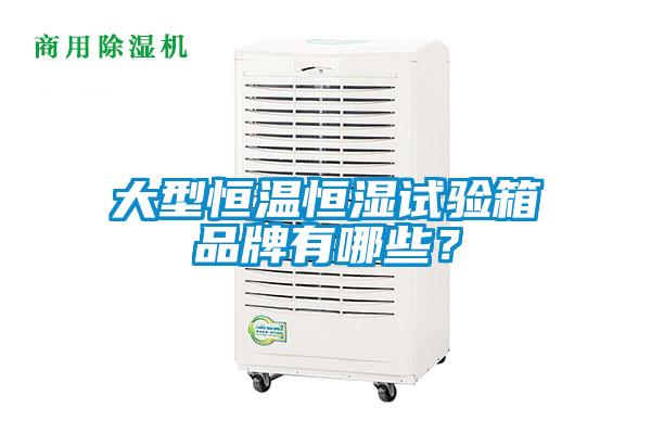 大型恒溫恒濕試驗(yàn)箱品牌有哪些？