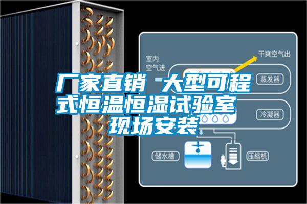 廠(chǎng)家直銷(xiāo) 大型可程式恒溫恒濕試驗室 現場(chǎng)安裝