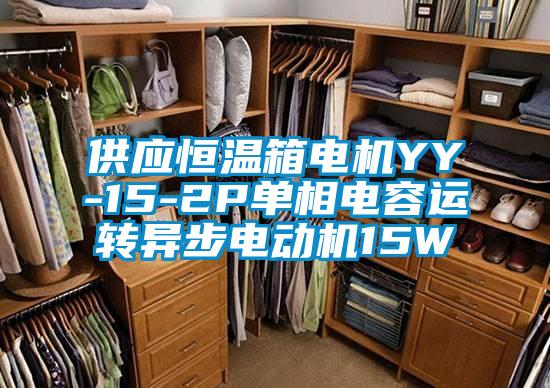 供應恒溫箱電機YY-15-2P單相電容運轉異步電動(dòng)機15W