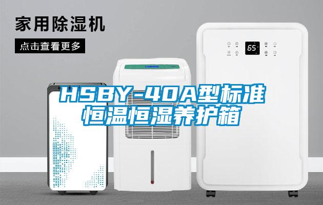 HSBY-40A型標(biāo)準(zhǔn)恒溫恒濕養(yǎng)護(hù)箱