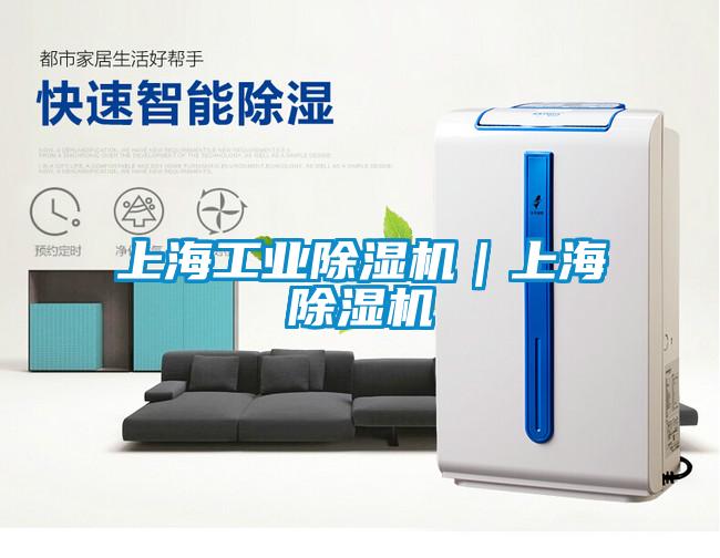 上海工業(yè)除濕機｜上海除濕機