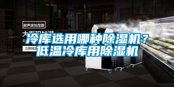 冷庫選用哪種除濕機？低溫冷庫用除濕機