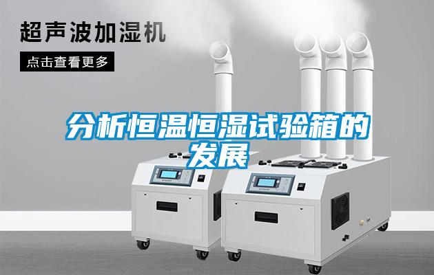 分析恒溫恒濕試驗箱的發(fā)展