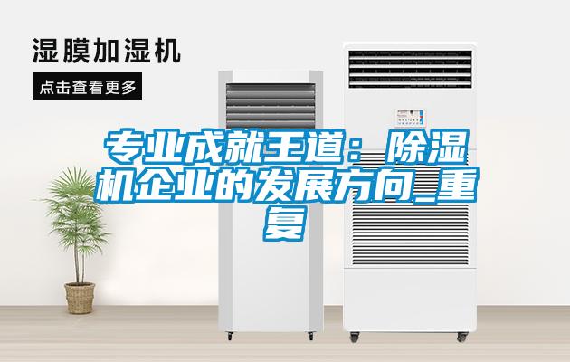 專(zhuān)業(yè)成就王道：除濕機企業(yè)的發(fā)展方向_重復