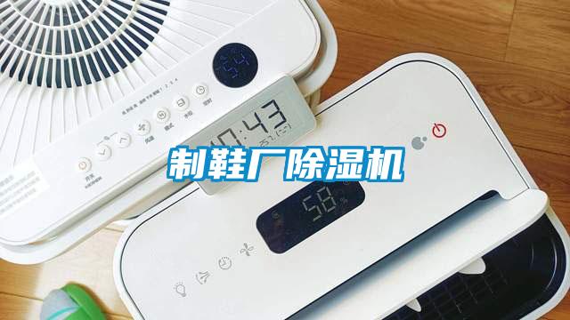 制鞋廠(chǎng)除濕機