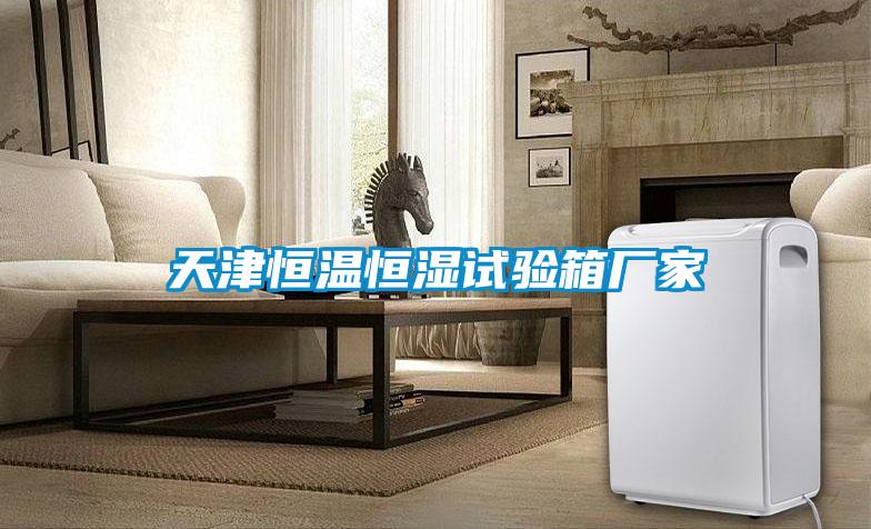天津恒溫恒濕試驗箱廠(chǎng)家