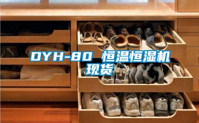 DYH-80 恒溫恒濕機(jī)現(xiàn)貨