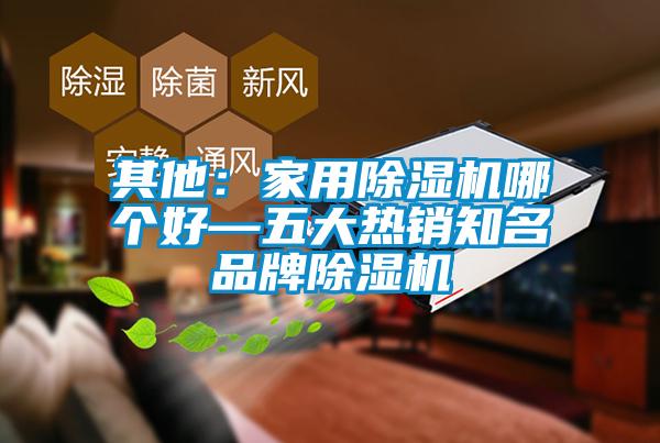 其他：家用除濕機哪個(gè)好—五大熱銷(xiāo)知名品牌除濕機