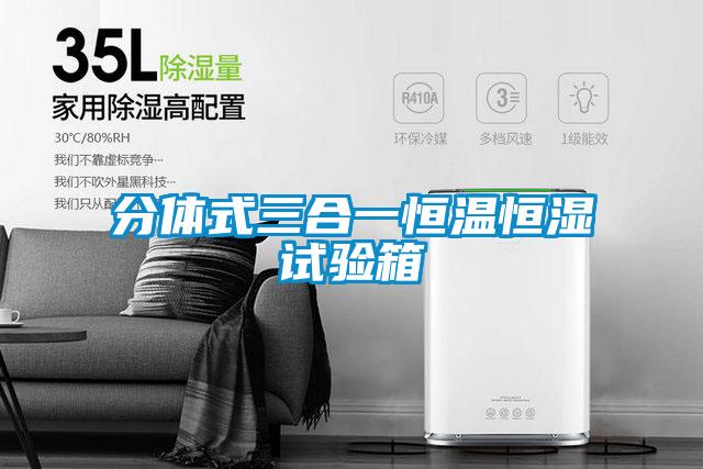 分體式三合一恒溫恒濕試驗(yàn)箱
