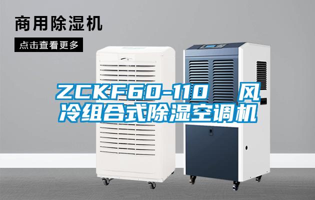 ZCKF60-110  風(fēng)冷組合式除濕空調機