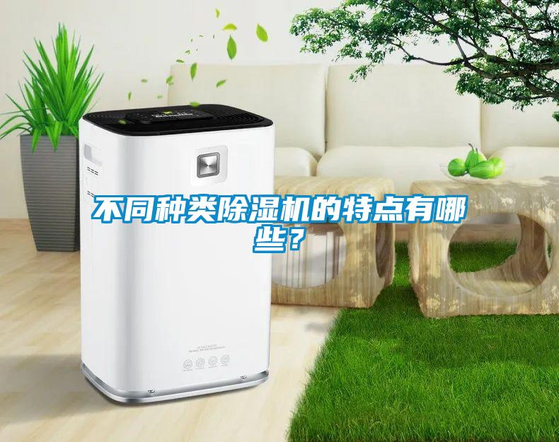 不同種類(lèi)除濕機的特點(diǎn)有哪些？